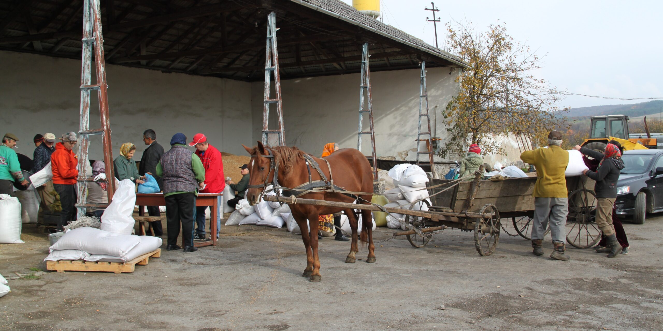 Biologischer Landbau in der Ukraine